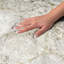 Shag Washable Oriental Indoor Rug-911858276-911858274