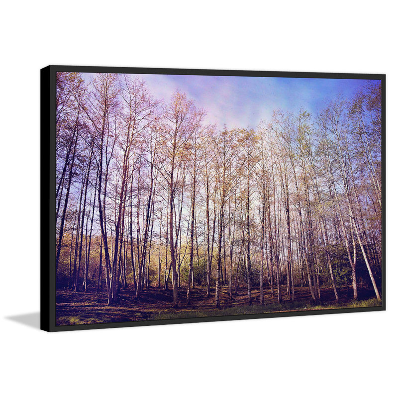 « forest of trees », reproduction d’art sur toile, 30 po x 45 po, Cadre noir