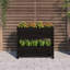 Angustias Self-Watering Wood Raised Garden Bed-596069342-596069343