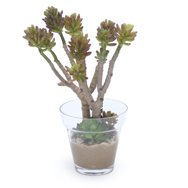Succulent agave artificiel 11" en pot