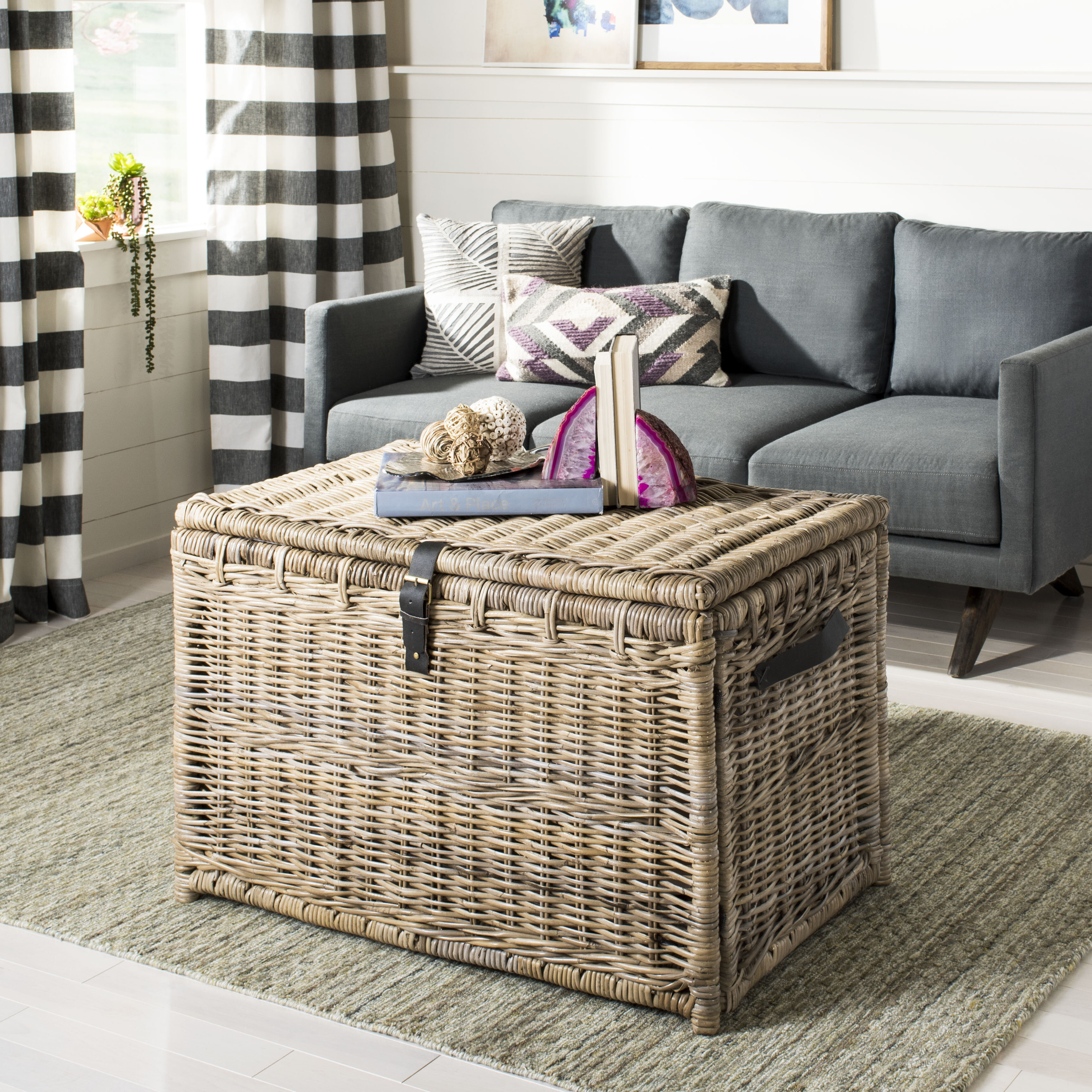 Highland Dunes Ammann Wicker Trunk & Reviews | Wayfair