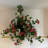 Geranium Hanging Basket