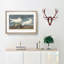 Ivory Gull by John Audubon - Picture Frame Painting Print-55576293-55576294