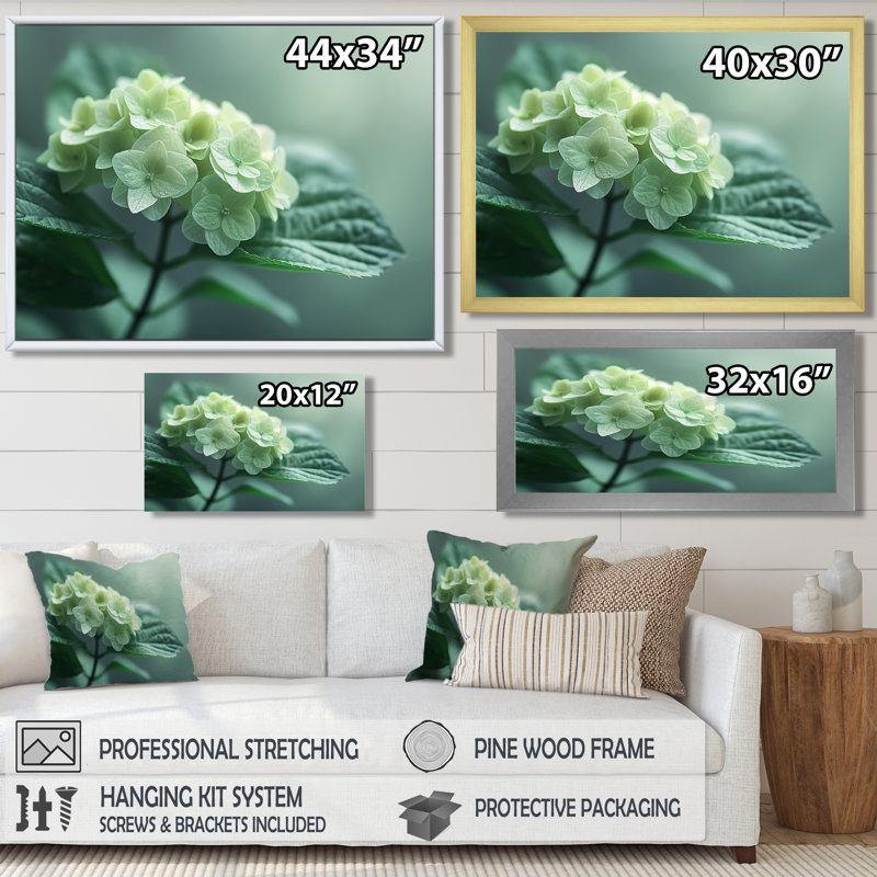 «Tropical», hortensia monochrome vert photo II - hortensia, art mural, H 16 po x l 32 po, Cadre flottant brun