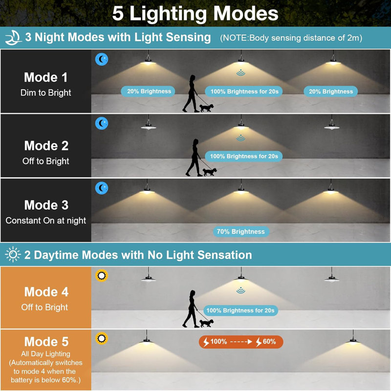Luminaire suspendu d'extérieur à 1 lumière à intensité variable avec capteur de mouvement