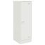 Alyda Steel Accent Cabinet-893228395