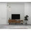 Banwarilal 150 cm TV Stand TV Unit for TVs up to 55 Inches with 2 Storage Cabinets Entertainment Center-1844616648