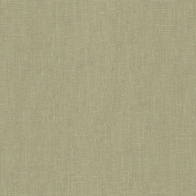 Perfect Plains Dublin Linen Fabric