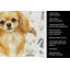 Serviette de cuisine Coffee Bar-1234934543