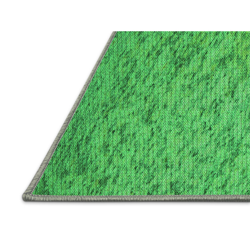 Indoor Rug