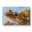 Frog Vol.3 - Wrapped Canvas-61854953
