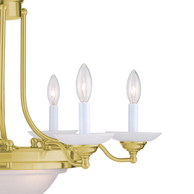 8-Light Polished Brass Candelabra Chandelier with Frosted Glass Bowl Shade