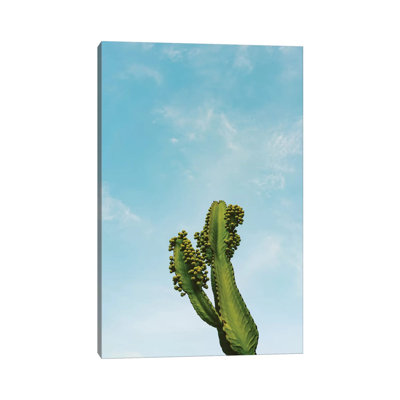 Reach For The Sky II by Bethany Young - Print on Canvas