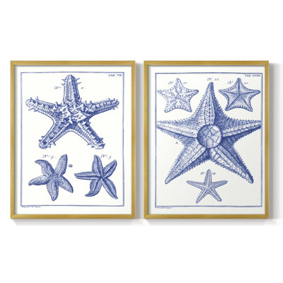 Impression encadrée Blue Sea Stars V-Premium - prête à être accrochée - aucun clou requis - aucun clou requis