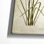«Botanical Plate XV», reproduction d'impression sur toile-22188151