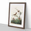 Wrens by John James Audubon - Picture Frame Painting Print-55614441-55614436