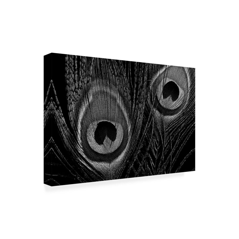 Art sur toile, animaux Tom Quartermaine noir et blanc plumes de paon, H 12 po x l 19 po x P 2 po