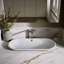 Iron Plains Capsule Vessel/Drop-In/Under-Mount Bathroom Sink with Iron Gate Painted Underside