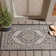 Amedee Performance Oriental Indoor/Outdoor Area Rug