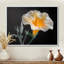 «White Yellow Whimsical Wonders Morning Glory - Morning Glory», reproduction d'art murale-258240035-258240045