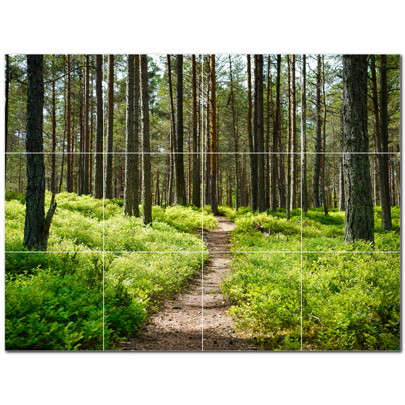 Photo d'arbres 4,25 x 4,25