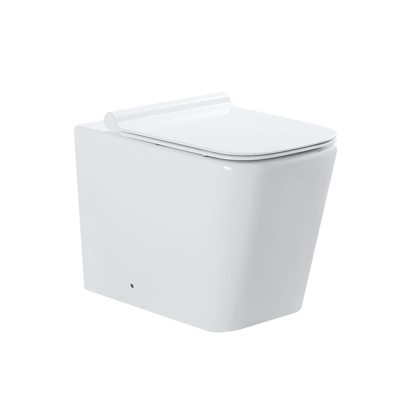 Oran Back-to-Wall Toilet