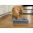 Sassy Paws Anti-Skid Elevated Feeder-41179308