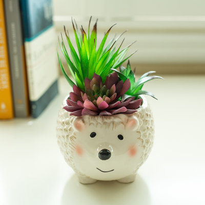 Agave de fleurs en céramique en céramique-hedgehog