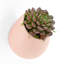 Pot de fleurs mural en plastique-734562128-734562130