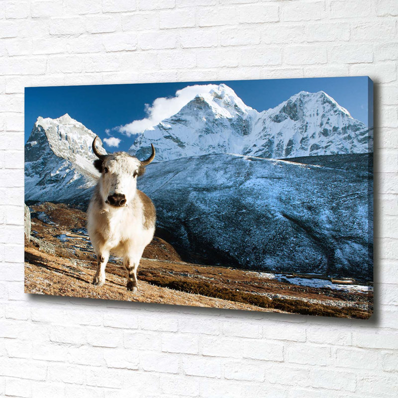 Yak Mountains - Wrapped Canvas Art Prints
