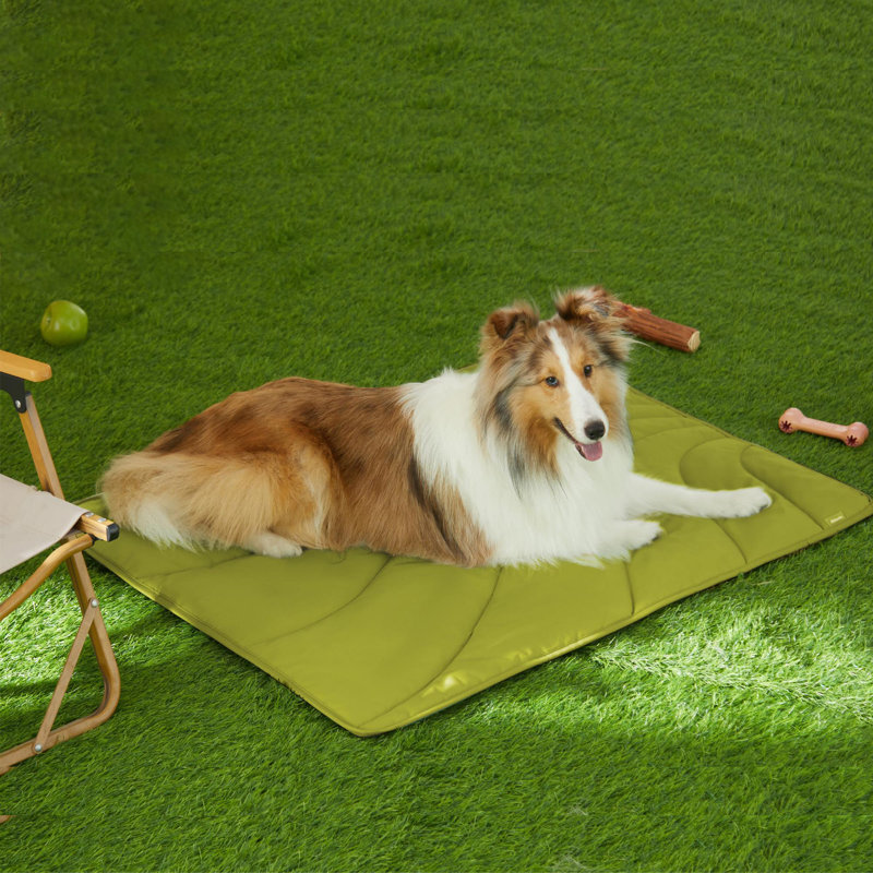 Olive Green Nylon Chew Resistant Outdoor Pet Bed