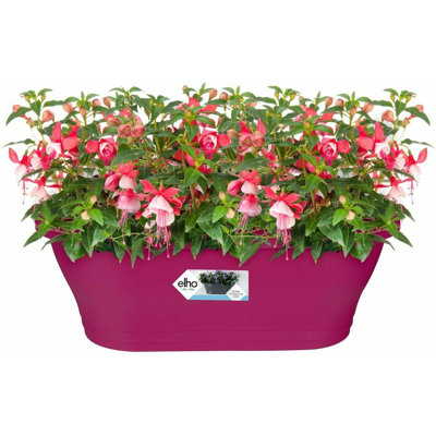 Wall Planter