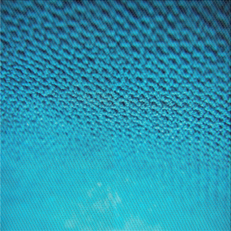 Indoor Rug, Square 4'