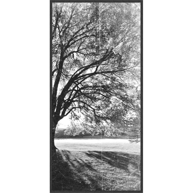 Tree Shadows Diptych B