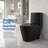 Modern One-Piece Toilet, Dual Flush (1.1/1.6 GPF), ADA Height, Soft-Close Seat, Fan-Shaped Design-130378061