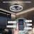 Peronne 20'' Ceiling Fan with LED Lights