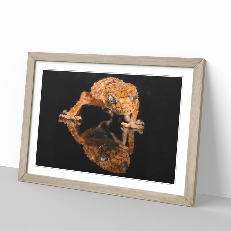 Rough Knob Gecko Lizard - Picture Frame Graphic Art, Oak Framed, 48cm H x 65cm W x 2cm D