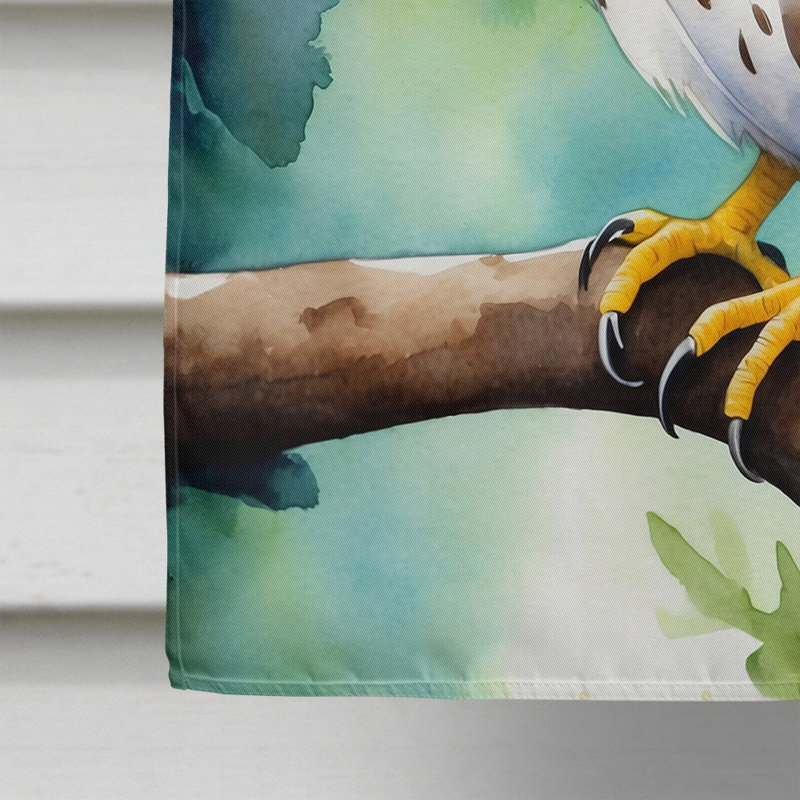 House Flag, Northern Pygmy Owl