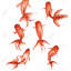 Petits poissons rouges, reproduction d'art sur toile rouge aquatique