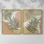 Impression encadrée Mid-Century Palm I-Premium - prête à être accrochée - aucun clou requis - aucun clou requis