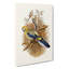Blue-cheeked Parakeet by Elizabeth Gould - Wrapped Canvas Painting-55362290