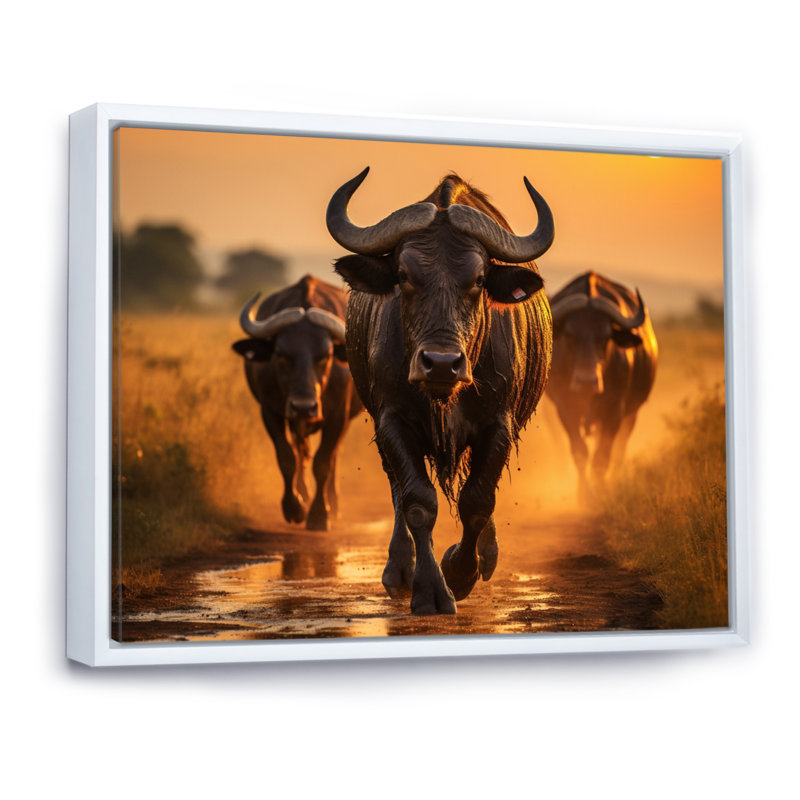 Parc national du Serengeti, Tanzanie VI, H 30 po x l 40 po, Cadre flottant blanc
