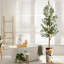 68 plantes-95099216
