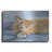 " Jack " by Janet Pidoux-1736391139