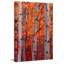 "automne splendor" par don schwartz, reproduction d’art sur toile tendue-15923751