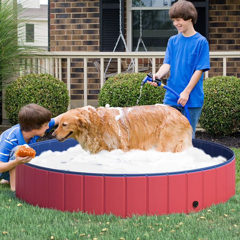Hassan 30cm H x 160cm W x 160cm D Plastic Foldable Dog Pool