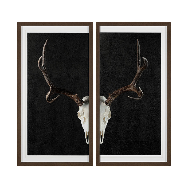 «Deer Skull-L» par Chris Dunker, reproduction d'art encadrée à la main avec passe-partout texturé, 33.0L x 2.5W x 63.0H, 2