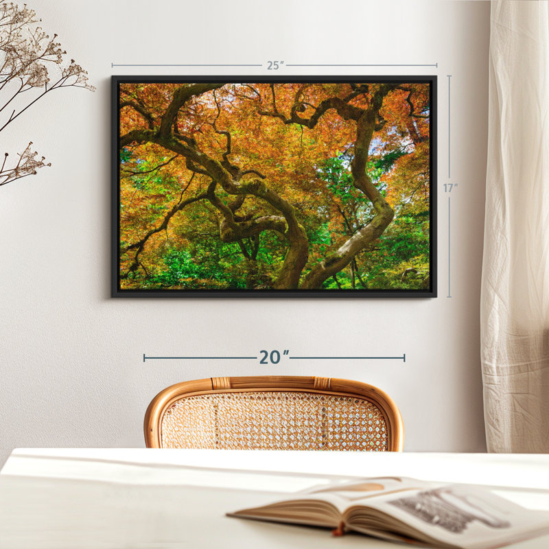 Mossy Maple Tree Canvas Print, 17" H x 25" W