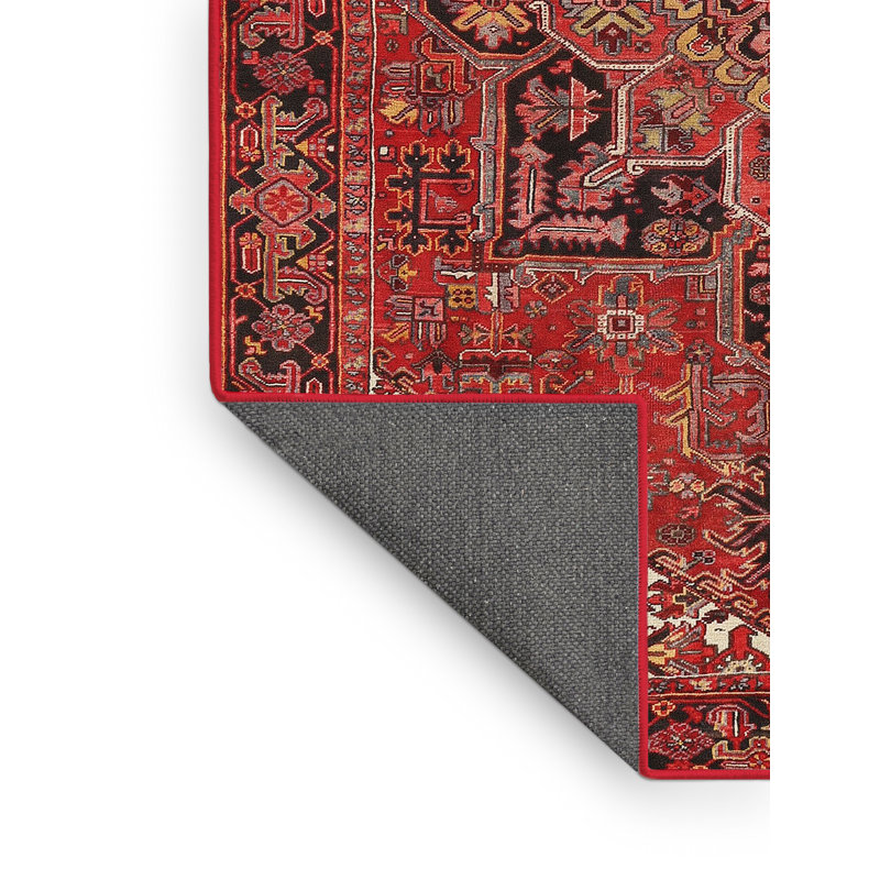 Oriental Indoor Rug, Rectangle 4' x 6'