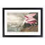 Roseate Spoonbill by John James Audubon - Framed Print-55610786-55610787
